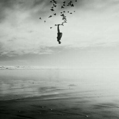 澳门4949资料免费大全下载手机版