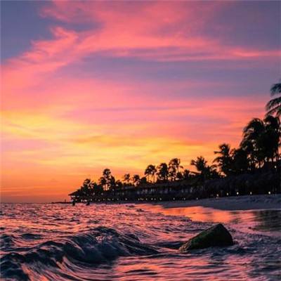 威尼斯软件·下载