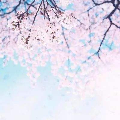 leyuapp下载官网下载