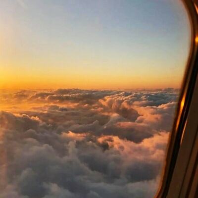 乐鱼app登录入口app下载