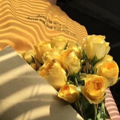 乐鱼app登录入口app下载