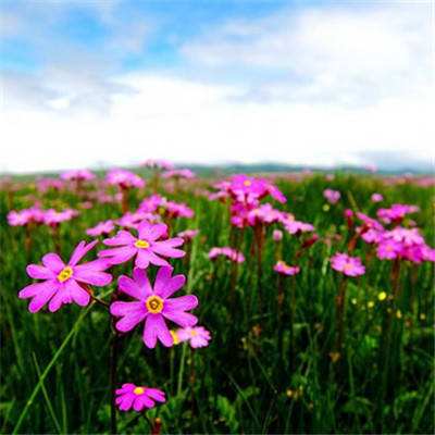 hth·华体育APP截图