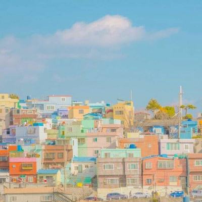 pg电子最新网站入口